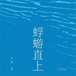 和小佳聊聊他的新书《蜉蝣直上》