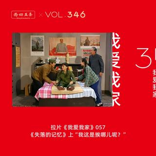 346 拉片我爱我家|57《失落的记忆》上“我这是挨哪儿呢？”