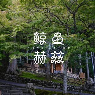 Vol.231 日本秋季旅行（下）：首推比叡山的森林，最爱中華そば 六的面
