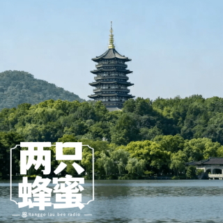 Vol.84 杭州到底有谁在啊，为啥总是去不够？