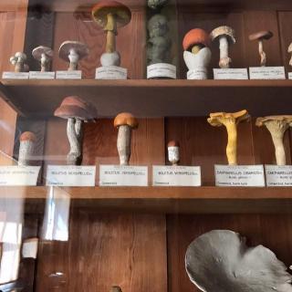 好久不见！菜街半年总结