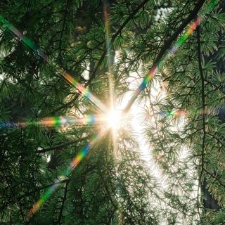 往前走啊，想什么呢。