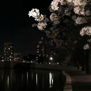 不要试图改变一个人，再爱也不行。