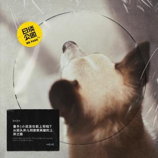 番外 | 小流浪也能上班啦？从街头弃儿到搜救英雄的上岸之路