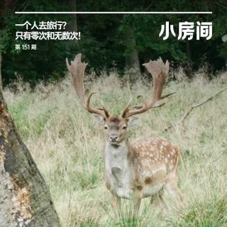 151 一个人去旅行？只有零次和无数次！