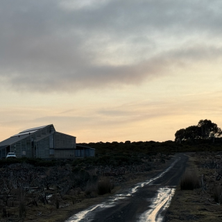 vol 65 澳洲漫游｜在悉尼和海鸥抢薯条，去塔斯马尼亚蹲守「恶魔」