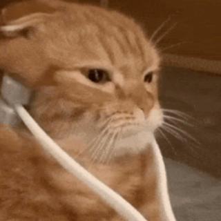 自学中医的宝妈和邪修养生群，到底谁错了？