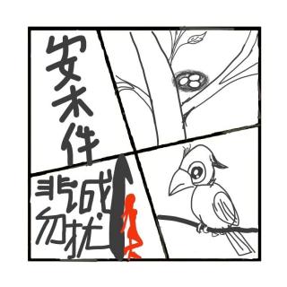 450.非诚勿扰侵犯案