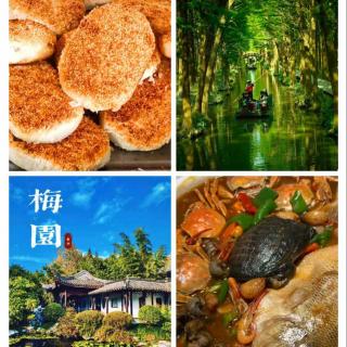 生如夏花Vol.34 散装江苏中的“小透明”，外地青年逃离一线后的日常