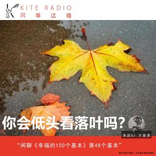 Vol.117| 你会低头看落叶吗？闲聊《幸福的100个基本》第48个基本。
