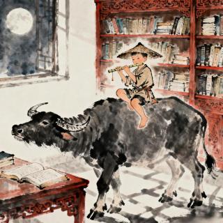 12.抱歉、整理素老师智慧库与世界大同