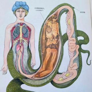 听友投稿之你相信蛇女的存在吗？