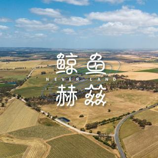 Vol.232 踩着鼓点进入秋天，你有哪些心流瞬间？