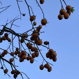 Vol.45｜Mixtape：秋天的天空有一种独特的蓝色。