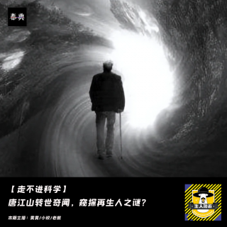 唐江山转世奇闻，窥探再生人之谜？丨走不进科学