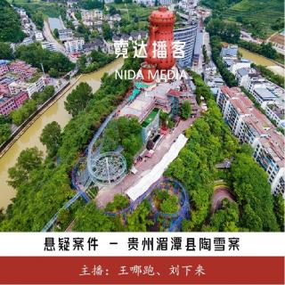 132. 啊落雨勒夜头：贵州湄潭县陶雪案