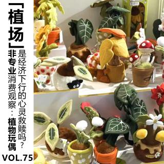 Vol.75【植场】非专业消费观察：植物玩偶是经济下行的心灵救赎吗？