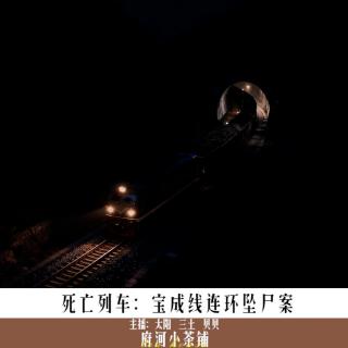 死亡列车：宝成线连环坠尸案