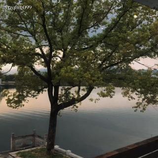 099 我要随心所欲过一生