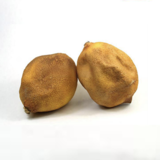 31 | 凭什么引发的案件 ：消失在多伦多的富翁