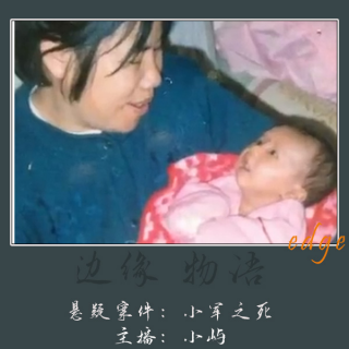 53.错位毒谋:小豪之死