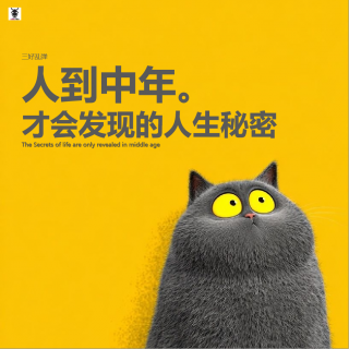 三好乱弹 - 人到中年，才会发现的人生秘密