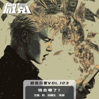 钱去哪了？【微氪玩家vol-123】