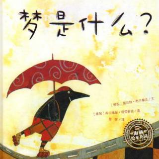 《梦是什么》[德]贝特・西尔雷克