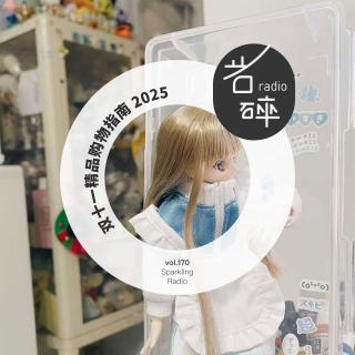 vol.170 双十一精品购物指南2025-岩碎电波