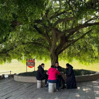 捌拾肆|艺术文章：我想要找到多重的视角，尽可能丰富的呈现一个状态，一个原貌