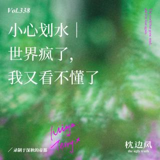 vol.338 小心划水｜世界疯了，我又看不懂了