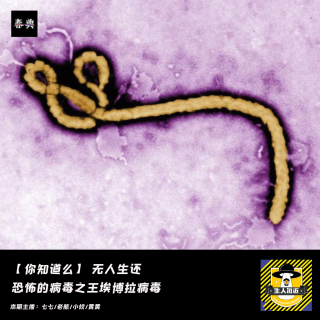 无人生还，恐怖的病毒之王：埃博拉病毒丨你知道么