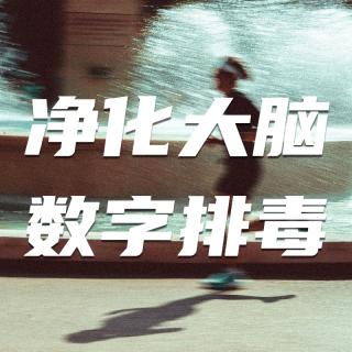 优质思考力养成，对抗精神麻木的参考答案