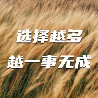 长期主义的决策艺术：别再卷成韭菜，做十年磨一剑的树