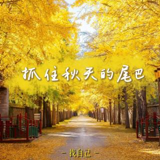 抓住秋天的尾巴，穿越圆明园银杏大道，奔赴方大同纪念椅【播客会客厅】