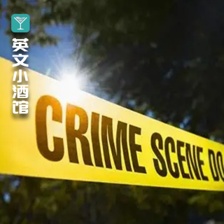 《安澜老爷子的晚安故事》-一桩离奇血案，揭开英国假币铸造的冰山一角...