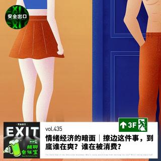 vol.435 情绪经济的暗面｜擦边这件事，到底谁在爽？谁在被消费？