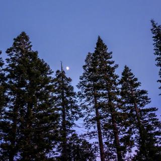 我偷窥了前任的朋友圈