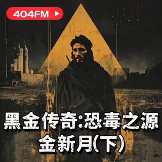 失踪调频X荔枝播客会客厅：黑金传奇：恐毒之源金新月（下）VOL83