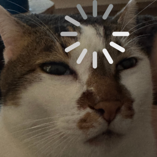 32 | 来自理发店的案件：躺平人生，我们从“头”开始