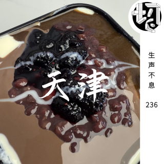 天津自驾 | 生声不息236