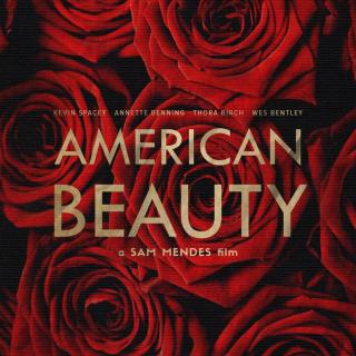 《美国丽人》要爱，不要对抗