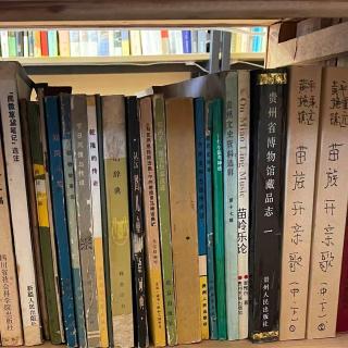 Vol.58 酸汤、下蛊和一树歌，在贵阳和叠贵聊苗族