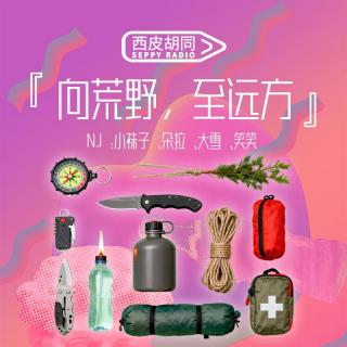 VOL410.向荒野，至远方｜极限生存环境里，你能活过4小时吗？