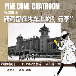 158.罪案时刻｜被遗落在火车上的“行李”：1979年碎尸火车抛尸案