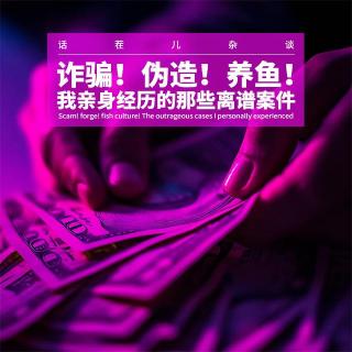 杂谈节目：诈骗！伪造！养鱼！我亲身经历的那些离谱案件