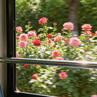 人总是要和一些过去告别的