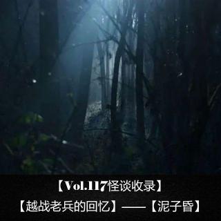 【Vol.117怪谈收录】 【越战老兵的回忆】——【泥子昏】