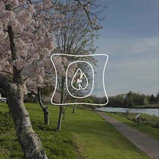 19｜幸福就是我真的被生活好好接住了。