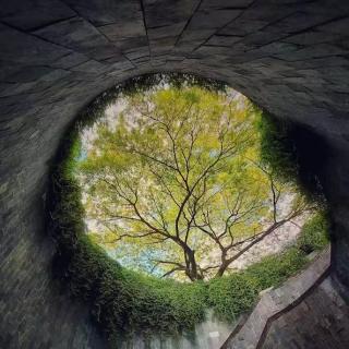 那些证明世界可能是虚拟的日常经历2